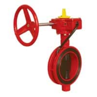 Van bướm giám sát pccc